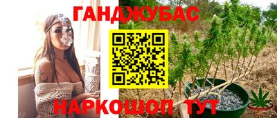 индика Уссурийск