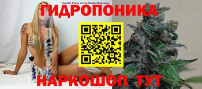 индика Уссурийск