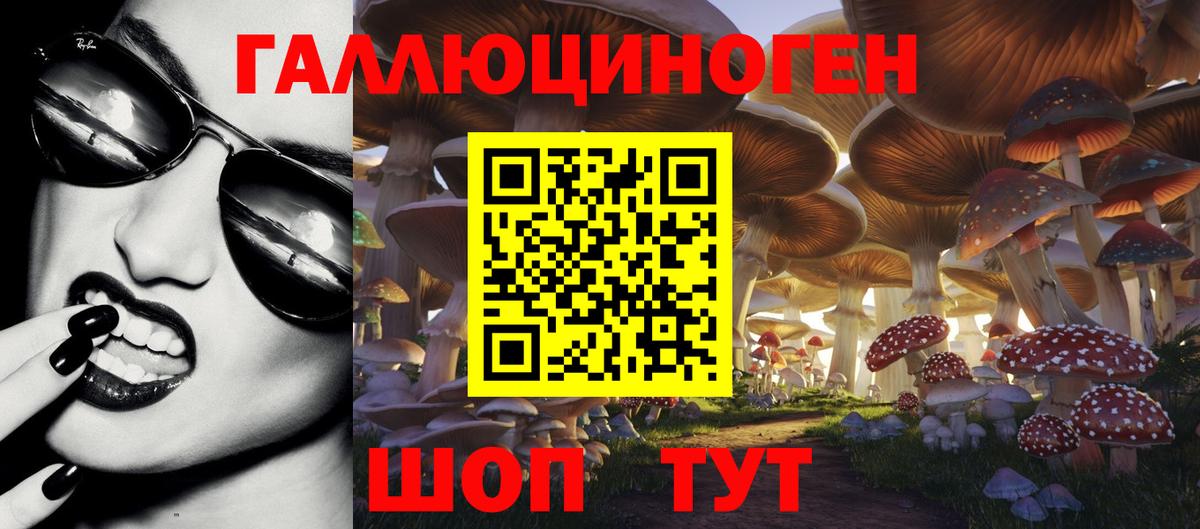 Псилоцибиновые грибы GOLDEN TEACHER  цена   Галлюциногенные грибы мухоморы  Аргун  Вход с VPN 