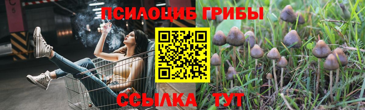 Псилоцибиновые грибы мицелий Аргун
